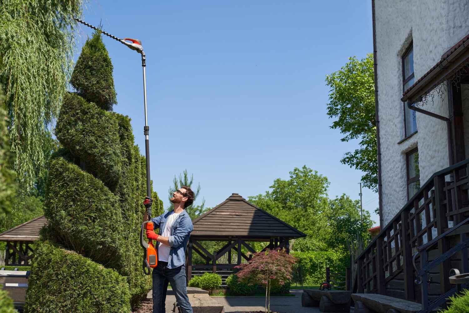 Trusted Hanley Hills, MO Tree Service Experts